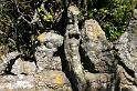 Bretagne (308)